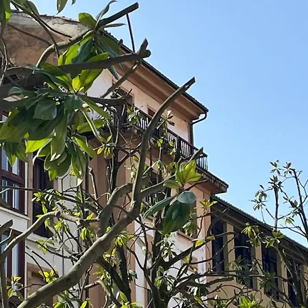 Apartment Wamba - La Catedral Oviédo